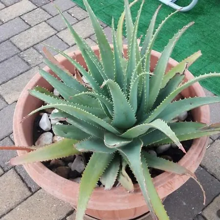 Casa Balice Ferienhaus