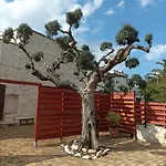 Casa Balice * מונופולי