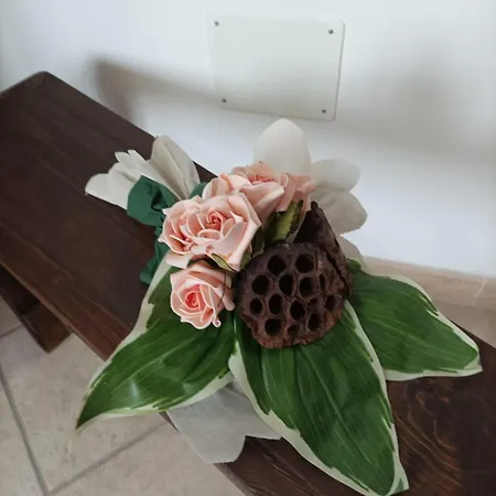 Casa Balice מונופולי